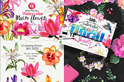 Over 120PNG watercolors, an Illustration by Alisa Mikibith Art (Thumbnail 15 of 15)