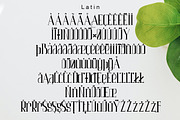 Air Leving, a Serif Font by Bramcreative (Thumbnail 6 of 10)