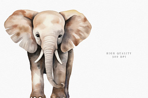 Safari Animals Watercolor Collection