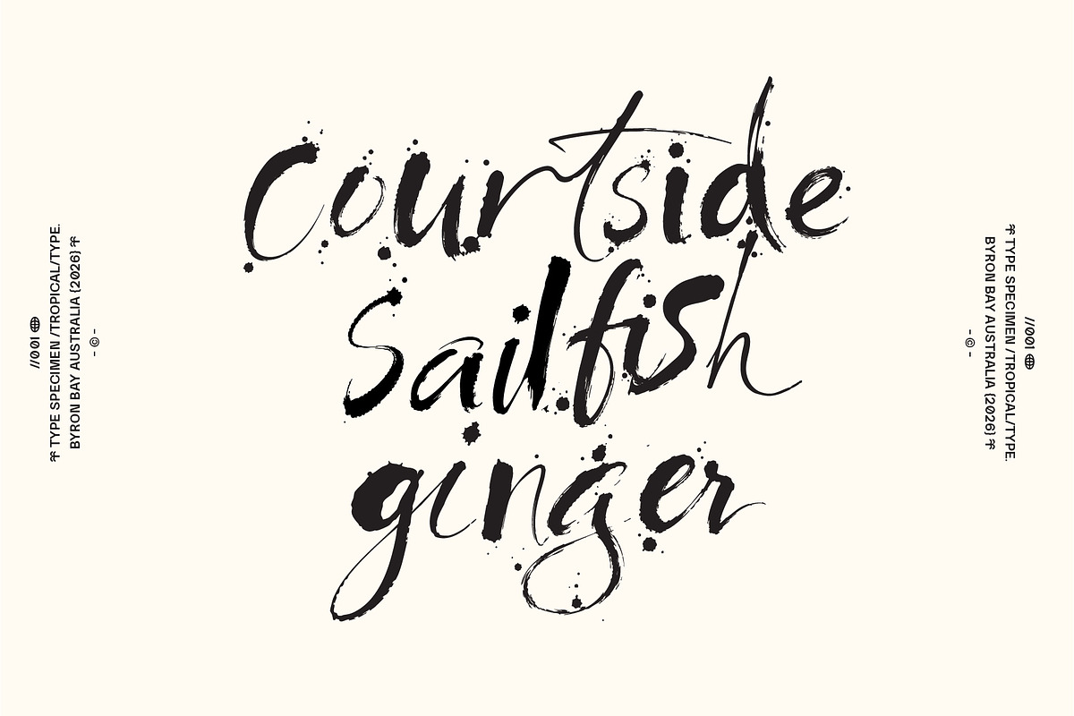 Spilt Milk Brush Font, a Handwritten Font by Tropical Type (Photo 2 of 9)