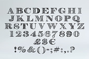 Digizen Decorative Font, a Font by Digital Typeface Studio (Thumbnail 4 of 4)
