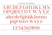 Canella, a Serif Font by Nurul_kamal (Thumbnail 11 of 13)