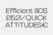 Selqova | Sans serif family, a Sans Serif Font by InkwellTypeCo (Thumbnail 15 of 18)