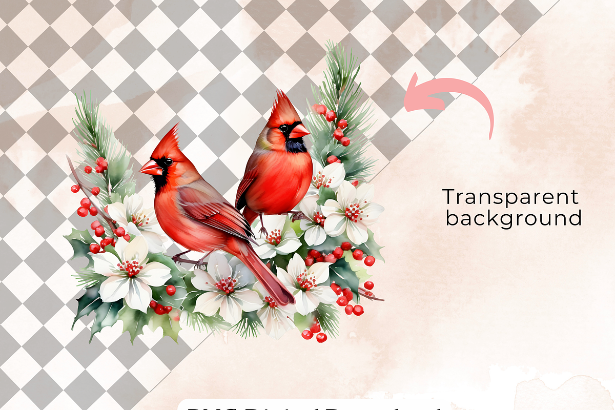 Red Cardinal Clipart,, an Animal Illustration by Anca Digital Vibe (Photo 6 of 6)