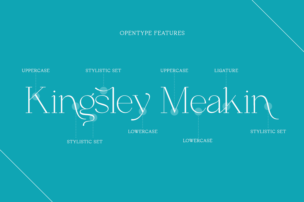 Angelic - Modern Stylish, a Serif Font by RockboyStd (Photo 8 of 12)