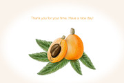 Loquat watercolor clip art, an Illustration by Alena Sid (Thumbnail 15 of 15)