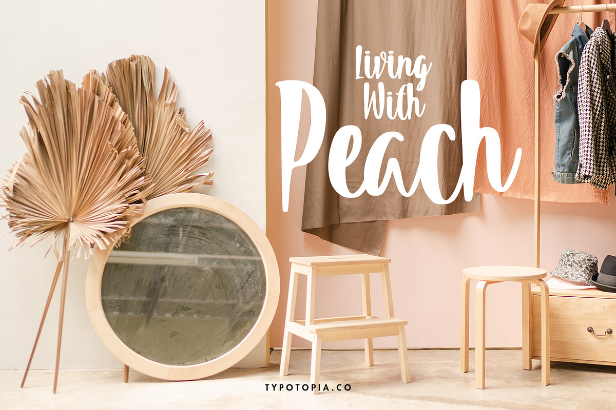 Summeria Handbrush Script Fonts, a Script Font by edukka (Photo 6 of 8)