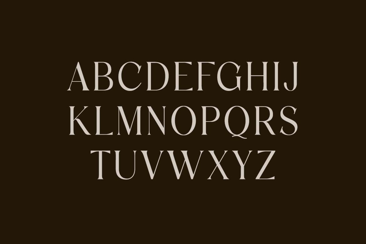 Discographica Classic Serif Font, a Serif Font by UICreative (Photo 5 of 13)