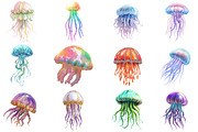 Watercolor Jellyfish Clipart Bundle, an Illustration by Pixels.Craft (Thumbnail 2 of 6)