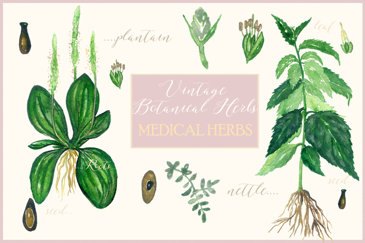 Green Bundle. vol.2. Watercolor, a Decorative Illustration by LABFcreations (Photo 9 of 14)