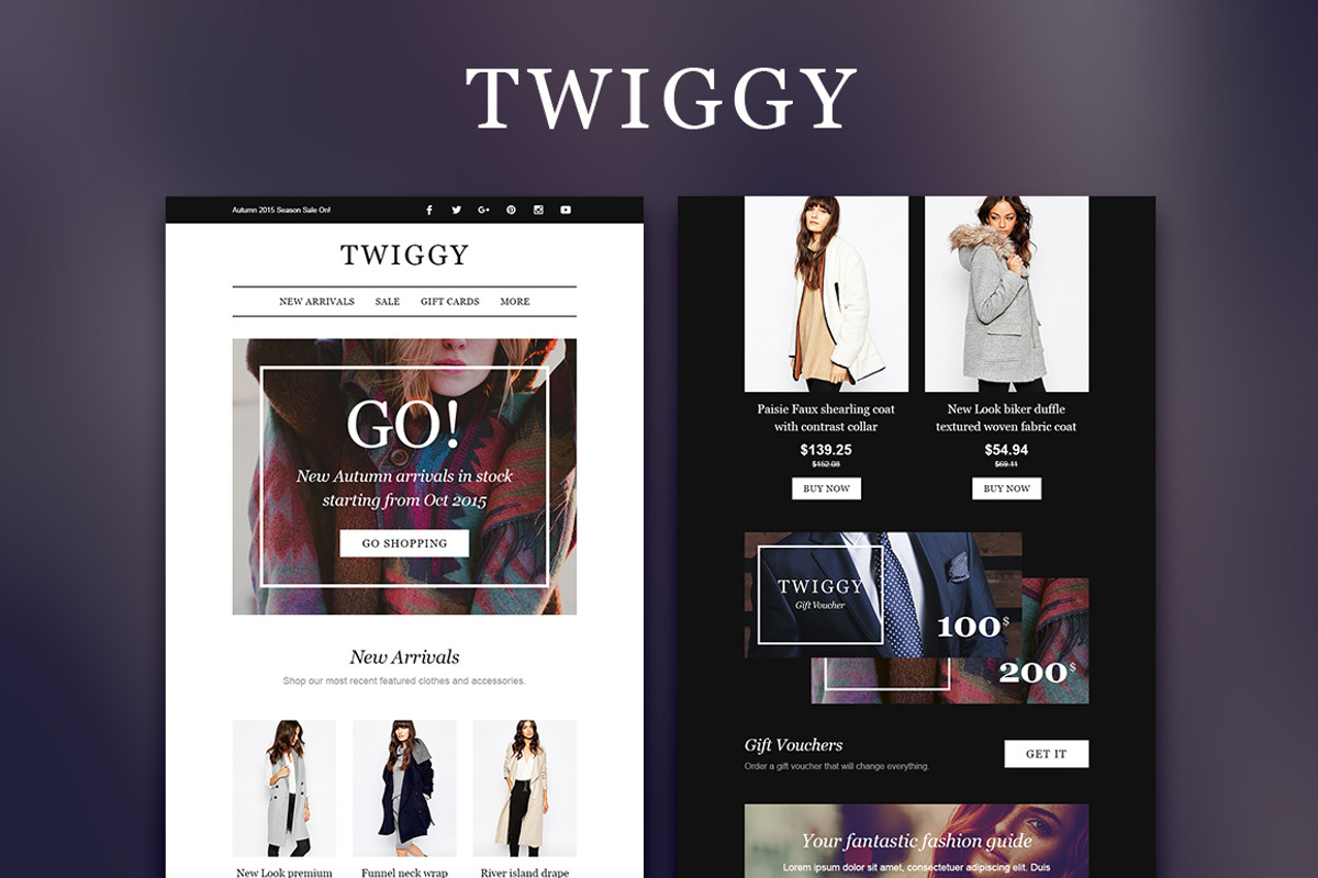 Theemon Email Bundle #3, an Email Template by NancyS (Photo 4 of 4)