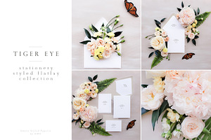 Styled Stationery Mock Up, Tiger Eye