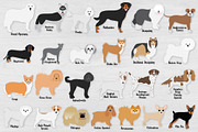 Popular Dog Breeds Clipart Bundle, an Animal Illustration by VizualStorm (Thumbnail 3 of 3)
