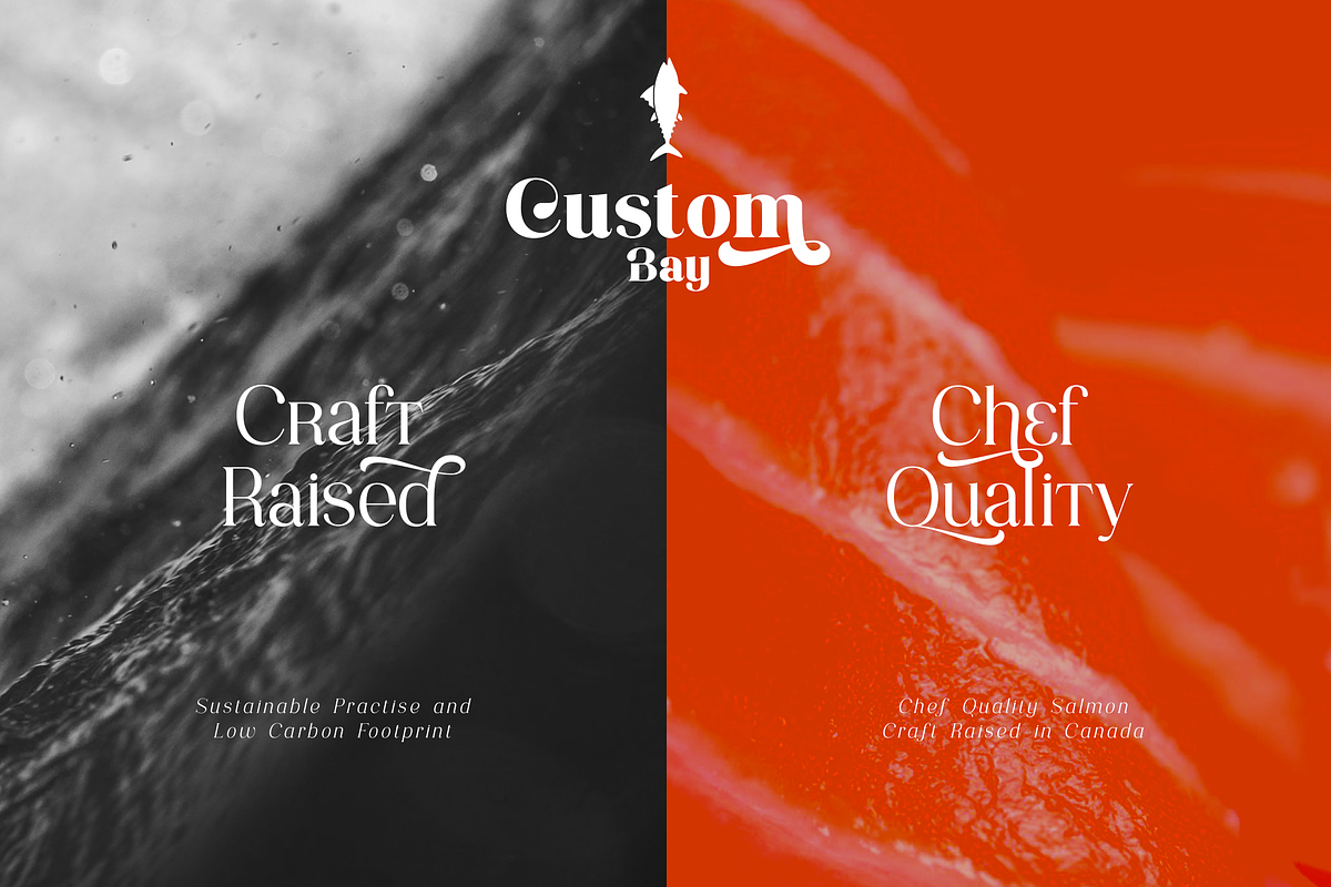 Consumer Type - elegant font family, a Serif Font by VP Fonts (Photo 3 of 18)
