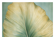 Bief Co · Botanical Leaf Backgrounds, a Texture Illustration by milatovar (Thumbnail 21 of 21)