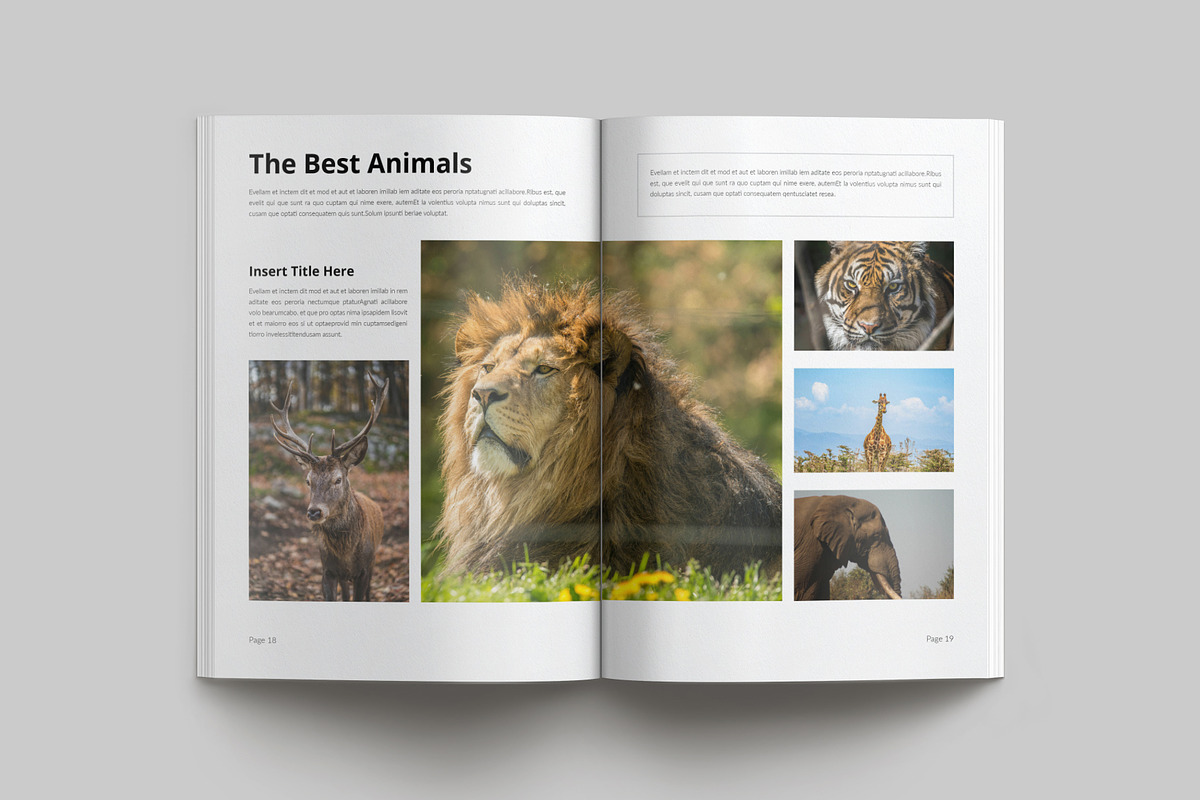 Photography Portfolio Template, a Brochure Template by Cleffon_Graphic_Studio (Photo 10 of 11)