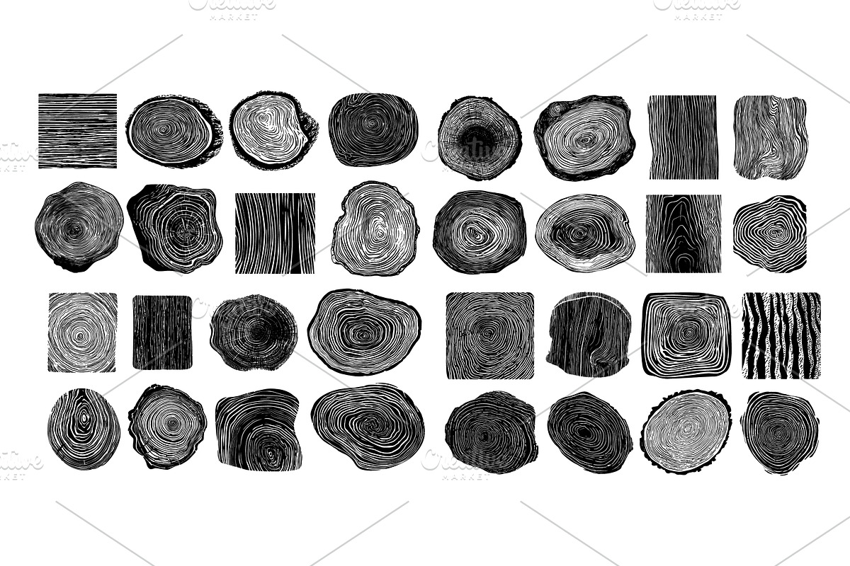 Wooden slices rings black ink sketch, an Object Illustration by Onyx