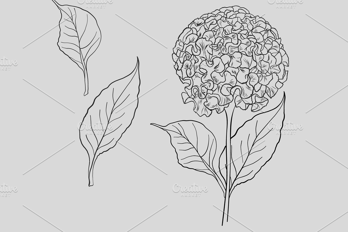 Oriental garden, an Object Graphic by VictoriaKStudio (Photo 6 of 7)