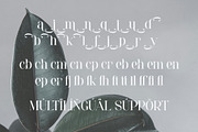Seroja - Elegant Serif Font, a Serif Font by Aqeel_Art (Thumbnail 11 of 12)