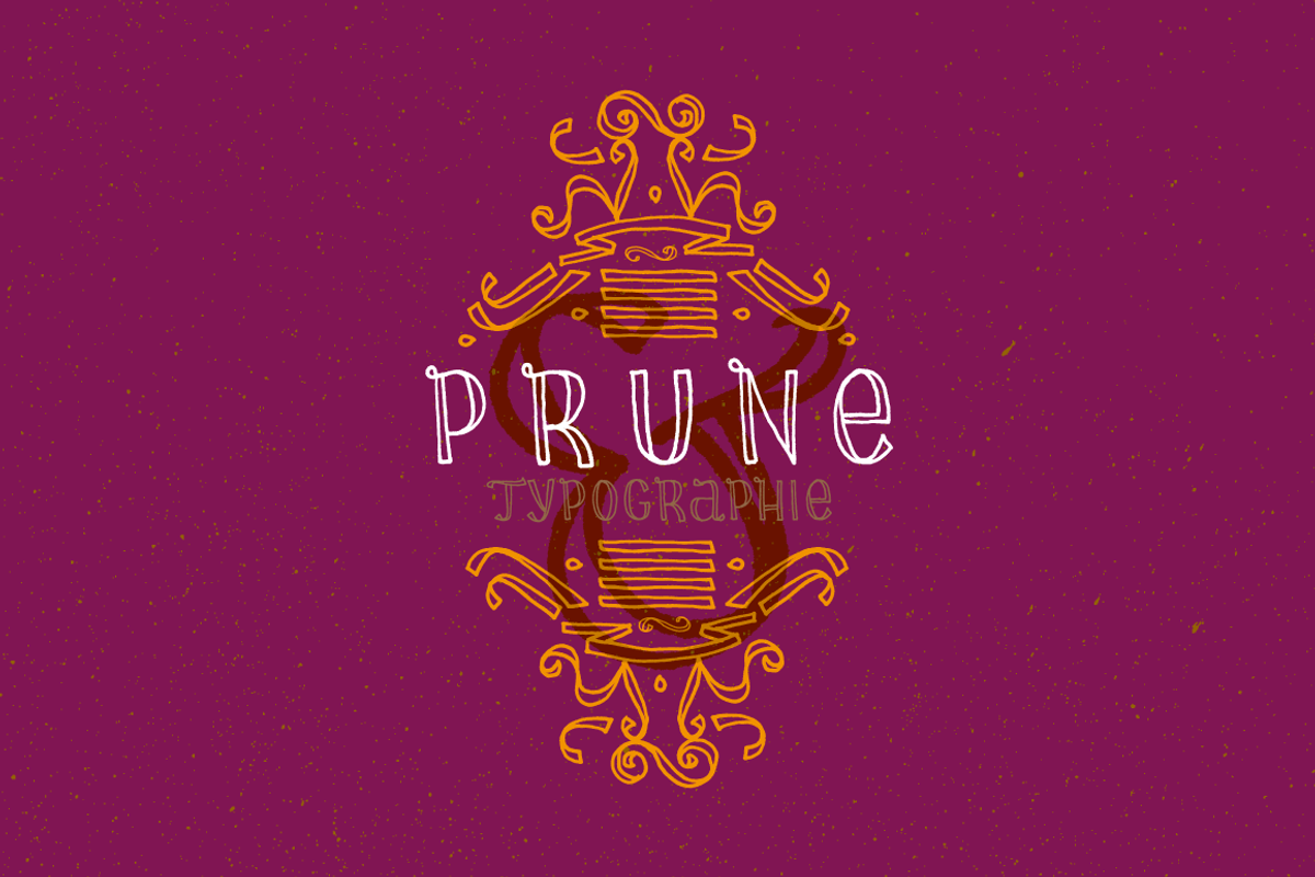 Prune, a Handwritten Font by La Boite Graphique (Photo 2 of 4)