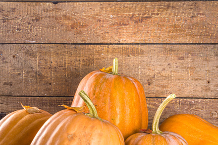 Autumn pumpkins on wooden autumn background, a Food & Drink Photo by Rimma