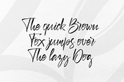 Berus. Handwritten brush Font, a Script Font by DenBrush Studio (Thumbnail 4 of 4)