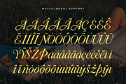 Valerine – Modern Script Font, a Script Font by overlaytemplates (Thumbnail 5 of 5)