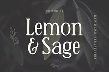 Lemon And Sage Display Serif Font