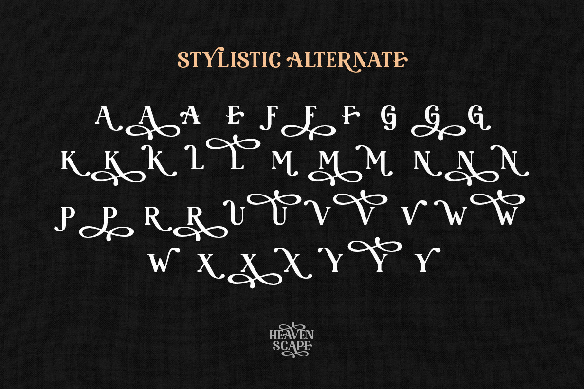 Heaven Scape - Stylish All Caps, a Serif Font by Bale Type (Photo 10 of 10)