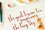 Jane Bugg Script, a Script Font by BlueRobinDesignShop (Thumbnail 2 of 6)