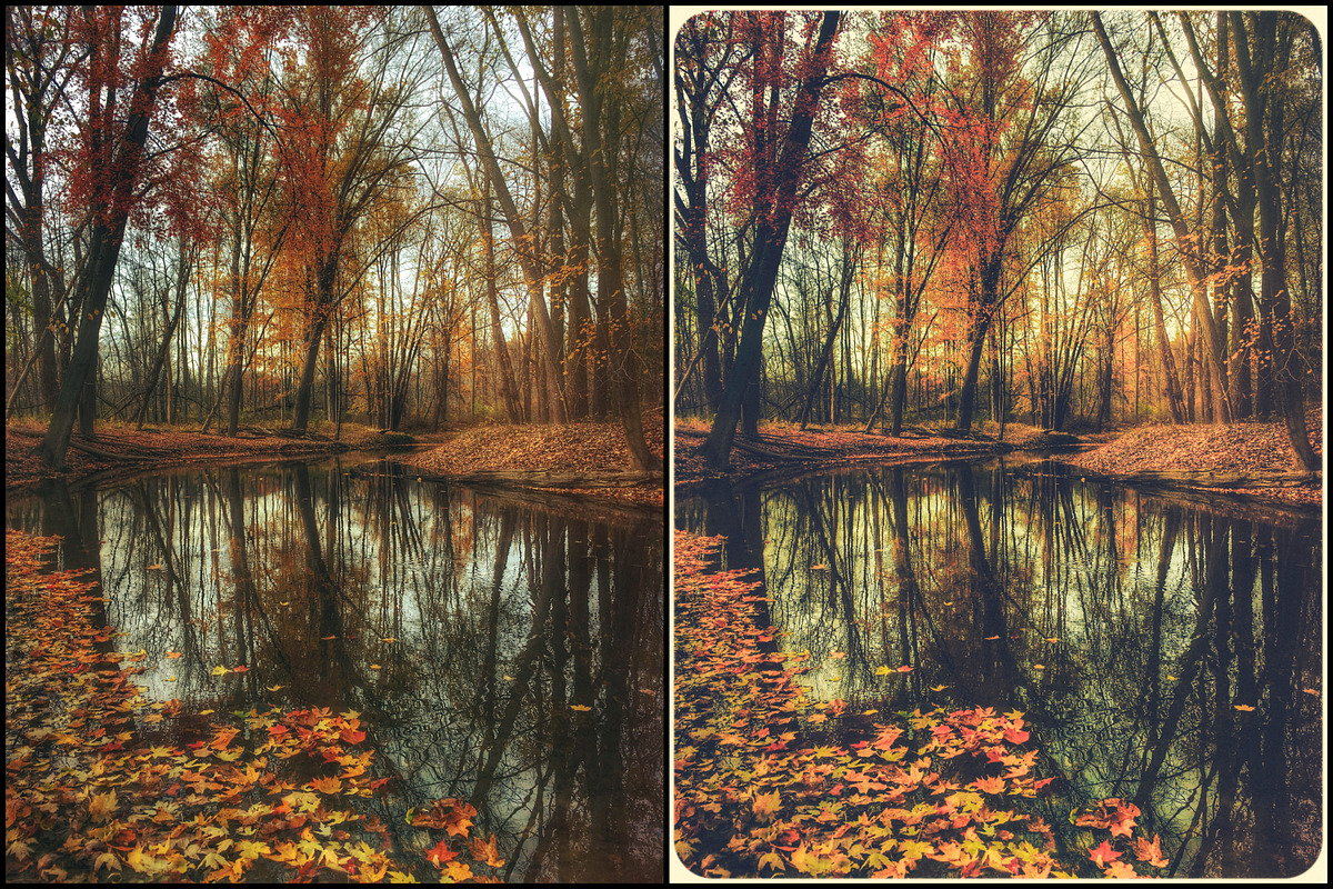 7000+ Professional Lightroom Presets, a Layer Style Add-On by Eldamar Studio (Photo 8 of 33)