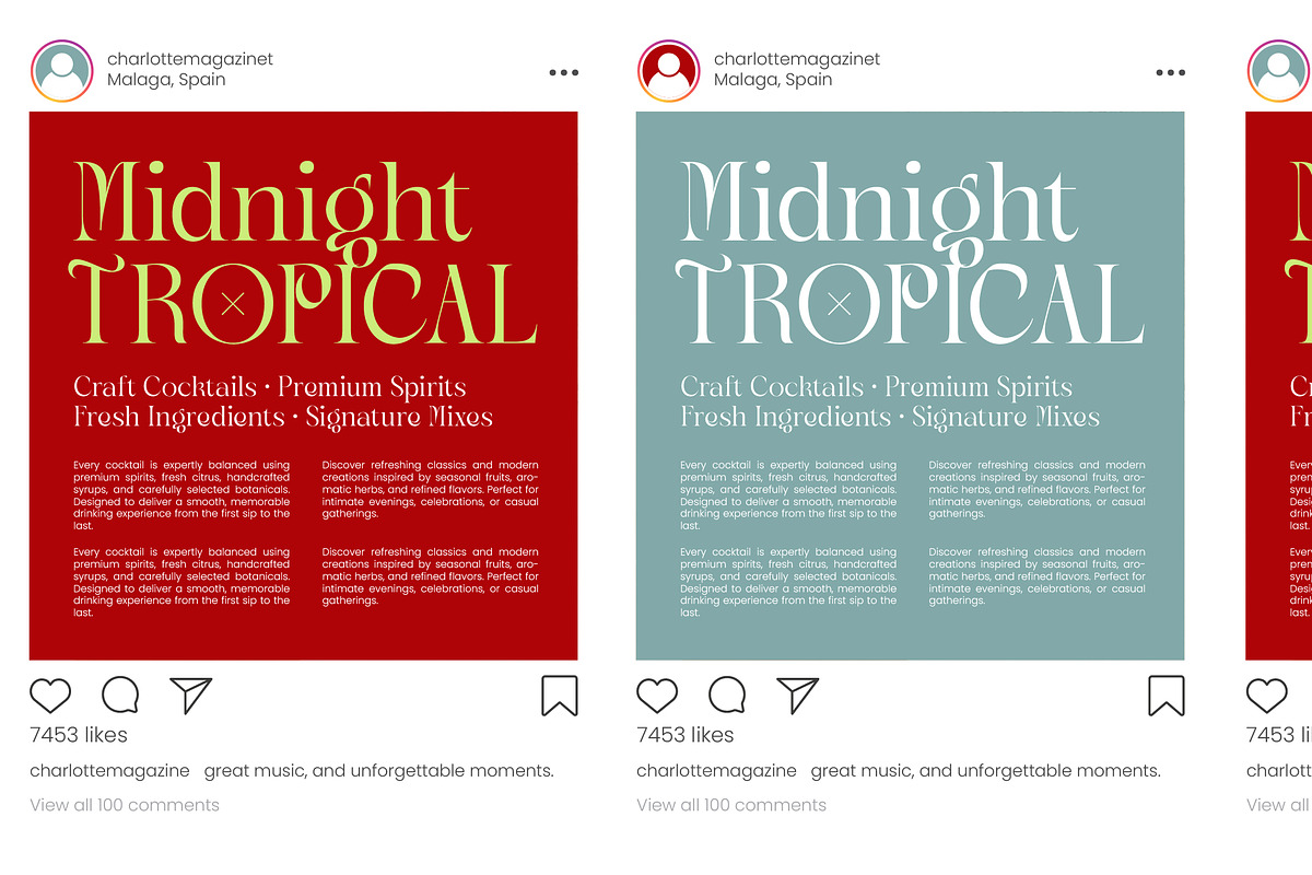 Magnolia Nocturne Editorial Serif, a Serif Font by timelesstype.co (Photo 8 of 10)