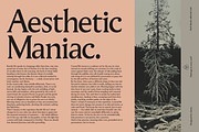 Pavilion Serif Typeface, a Serif Font by God Control (Thumbnail 7 of 12)