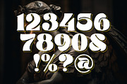 Bangond | A Bold Classic Serif, a Serif Font by Andrimada Creative (Thumbnail 8 of 13)