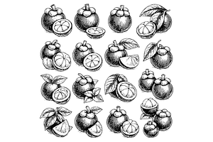 Mangosteen Fruit Clipart Set, an Object Graphic by RT Studio