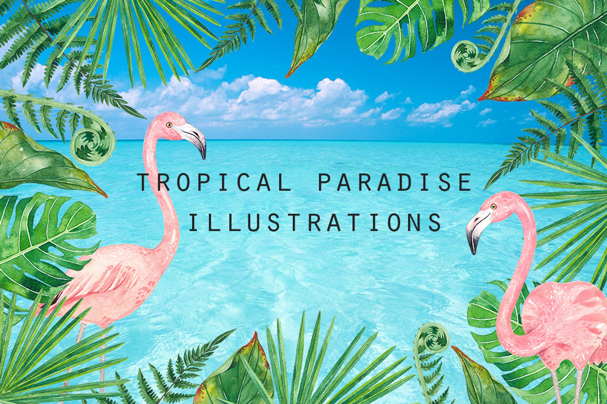 FLAMINGO PARADISE watercolor set, an Illustration by Natali Smolova (Photo 11 of 11)