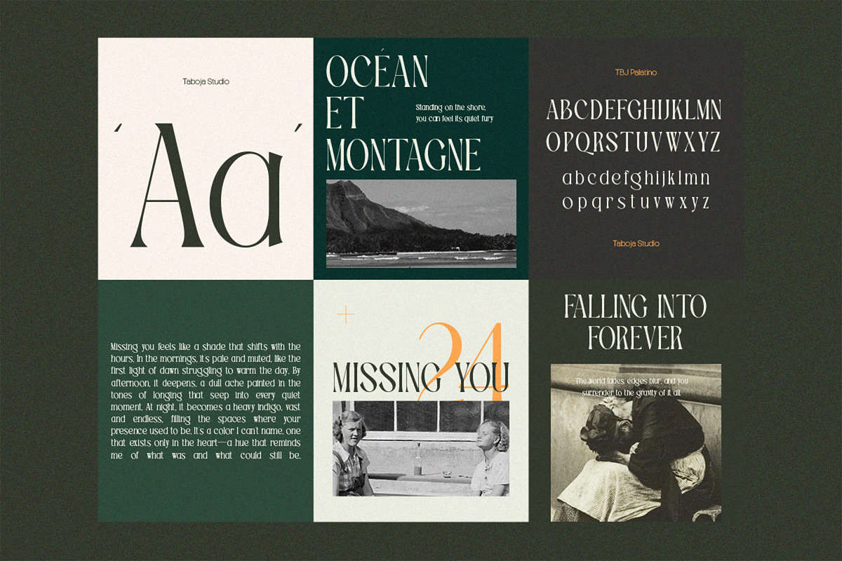 Elegant Condensed Volume 4, a Serif Font by Taboja Studio (Photo 15 of 22)