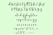MALIZIOSA SCRIPT, a Script Font by IsikChic (Thumbnail 2 of 5)