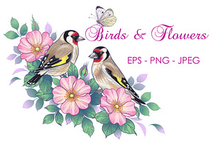 Goldfinches On Dog-Rose Branch