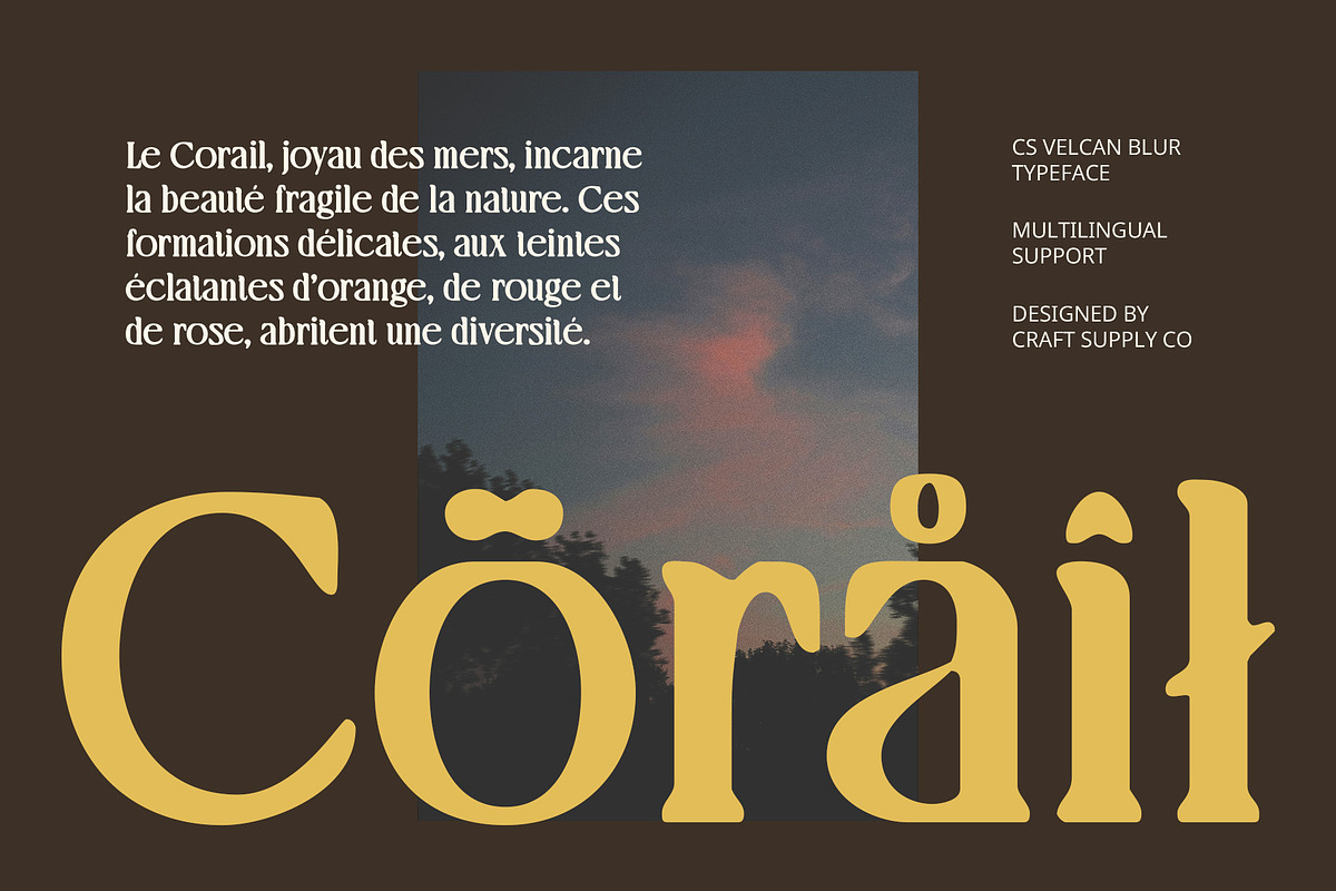Velcan Blur, a Serif Font by Craft Supply Co. (Photo 4 of 8)