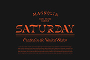 Gunsan Font Duo, a Serif Font by Damelev (Thumbnail 12 of 14)