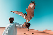 Orange & Teal Lightroom Presets, an Action Add-On by PhotoMarket (Thumbnail 2 of 42)