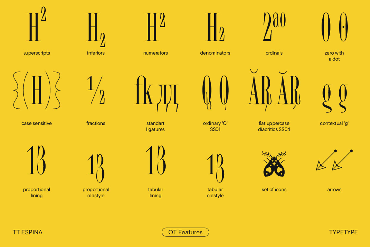 TT Espina, a Serif Font by TypeType (Photo 6 of 15)