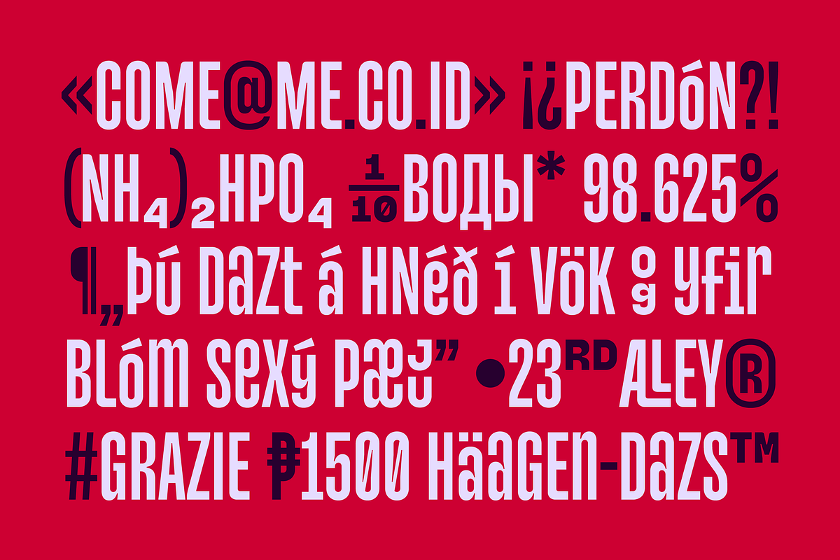 Monologue Font, a Sans Serif Font by Halfmoon Type (Photo 5 of 11)