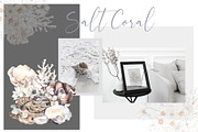 Salt Coral. Sea shell and flowers., an Object Illustration by ma_i_vi (Thumbnail 4 of 12)