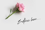 Southima - Modern Script, a Script Font by Motokiwo (Thumbnail 6 of 7)