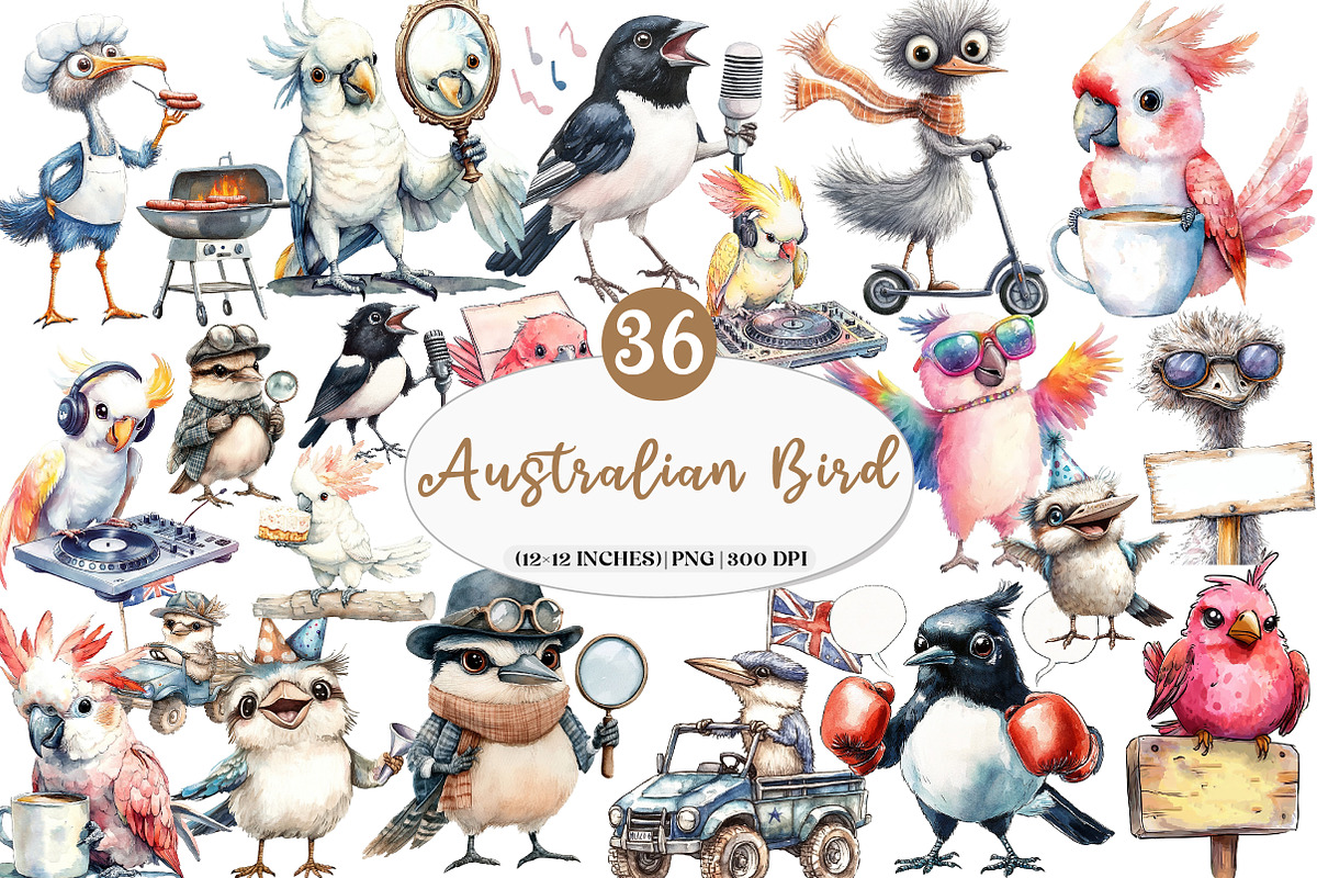 Funny Australian Bird Clipart, an Illustration by Watercolor design (Photo 1 of 5)