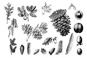 Landscape Vintage Illustrations, an Education Illustration by hypegraphic (Thumbnail 4 of 5)