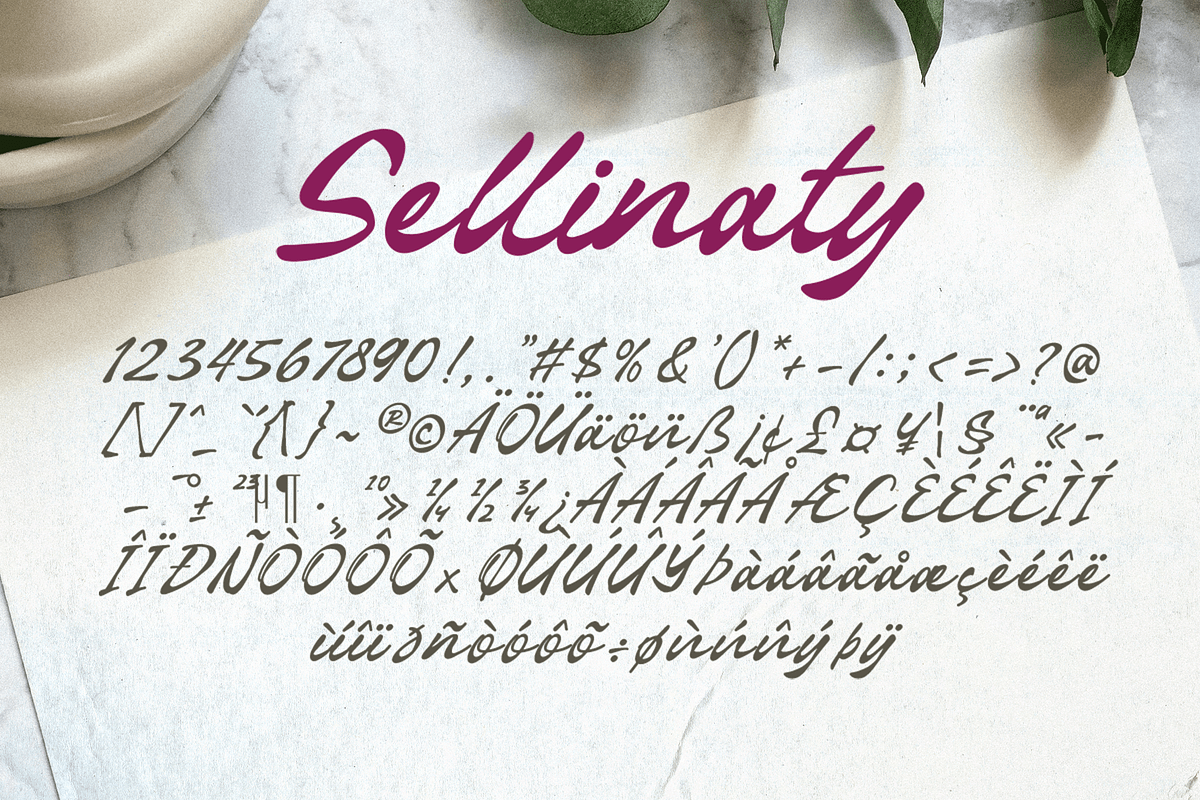 Sellinaty - Beautiful Script Font, a Script Font by overlaytemplates (Photo 5 of 5)