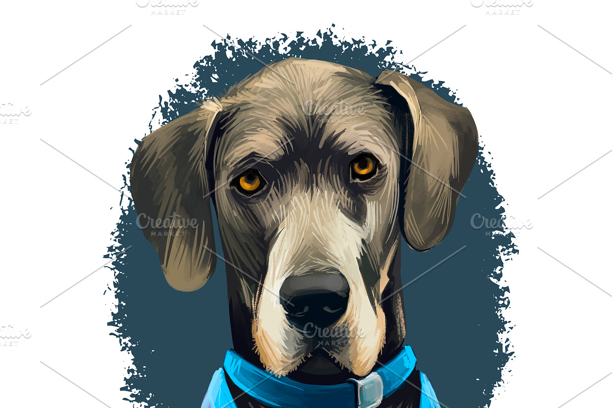Most Popular Dog Breeds Pet Portrait, an Animal Illustration by Dneprstock (Photo 13 of 23)
